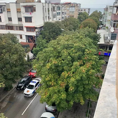 Baci Pogradec